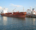 马来西亚5月份毛棕榈油出口关税维持在8% 全球希腊航运新闻