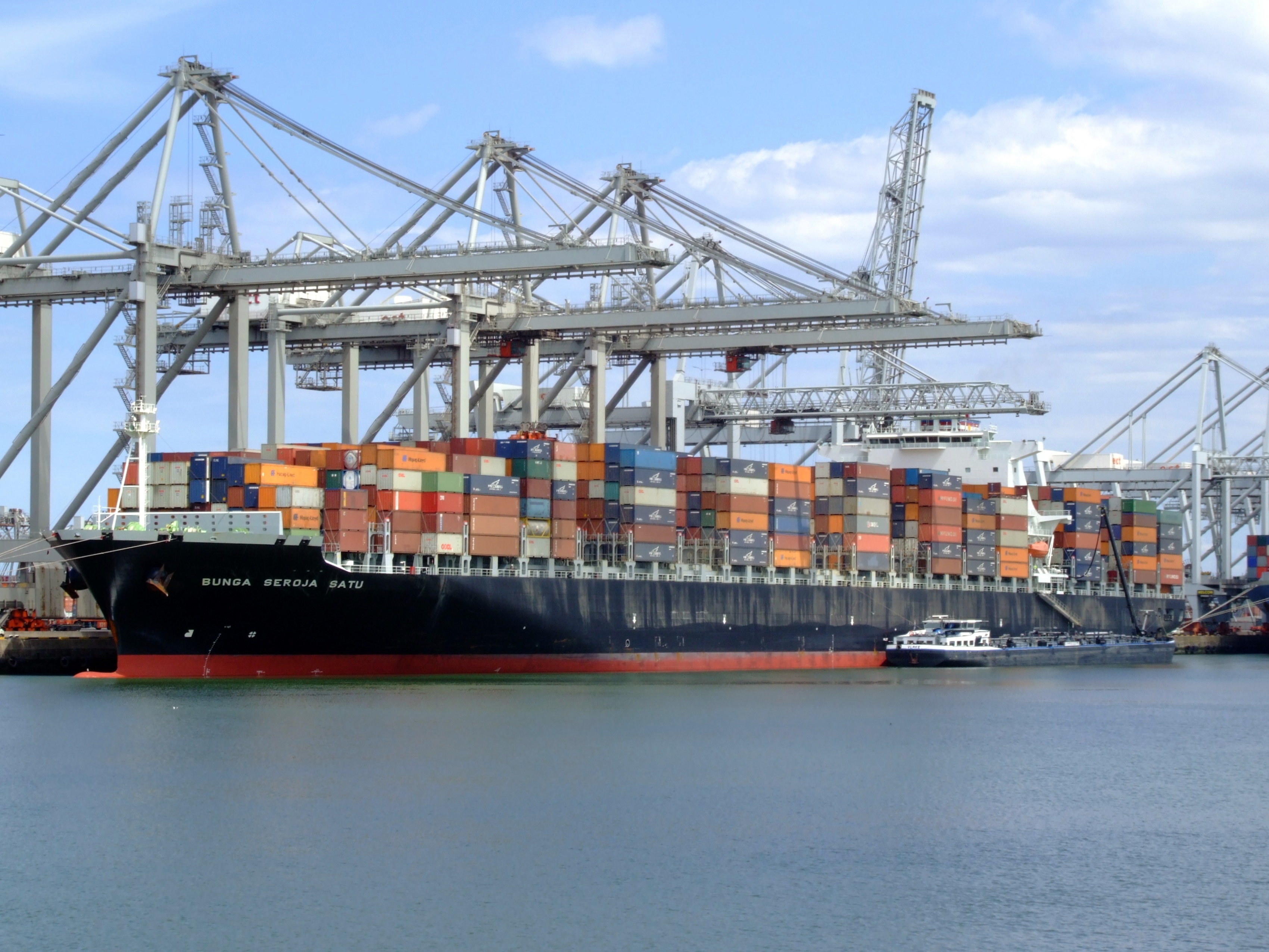 New 2M shipping schedule excellent news for port of ...